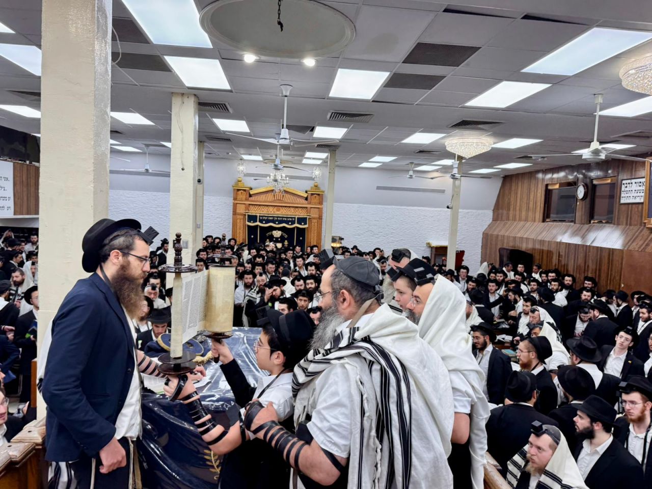 הגלריה השבועית - שבוע פרשת נצבים-וילך ב-770